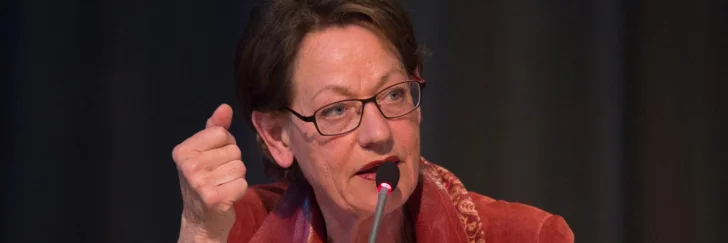 Gudrun Schyman likställer datorspel med pornografi. Vill hjälpa män och pojkar.