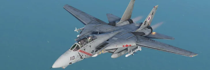 Hands-on – DCS: F-14 Tomcat